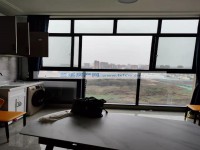 其它图