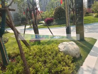 其它图