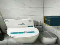 其它图
