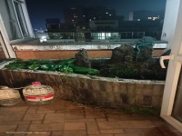 其它图