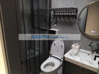 其它图