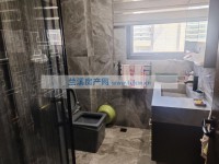其它图
